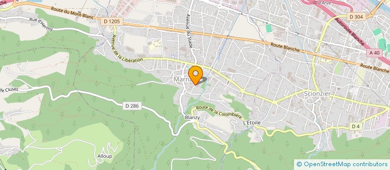 localisation de l'entreprise MADAME YVONNE PIERRETON  MARNAZ