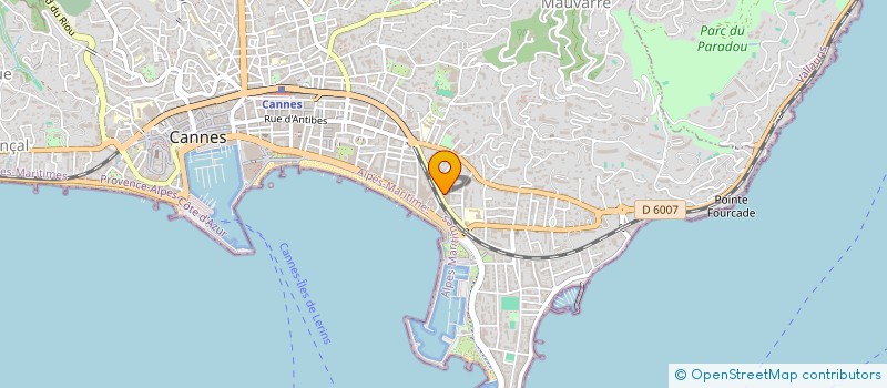 localisation de l'entreprise MADAME YVONNE RICHARD à CANNES