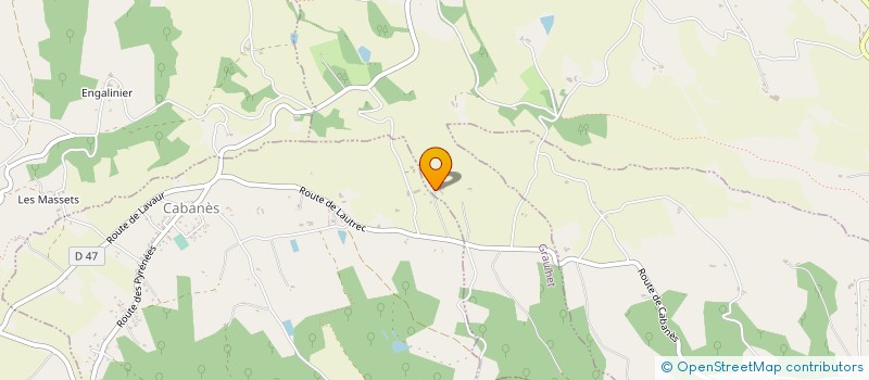 localisation de l'entreprise MADAME YVONNE VIDAL à GRAULHET