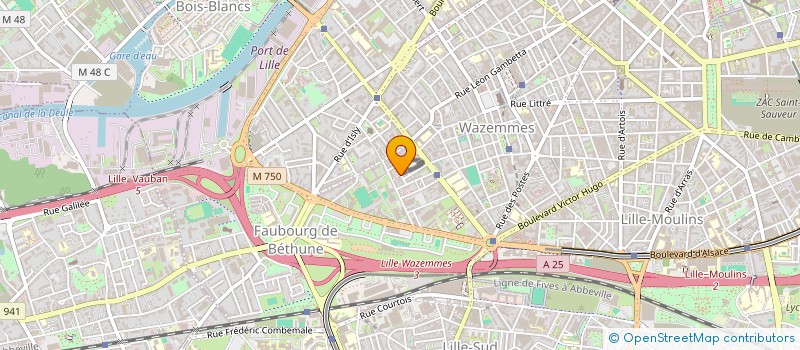 localisation de l'entreprise MADAME ZAHIDI KHADIJA à LILLE