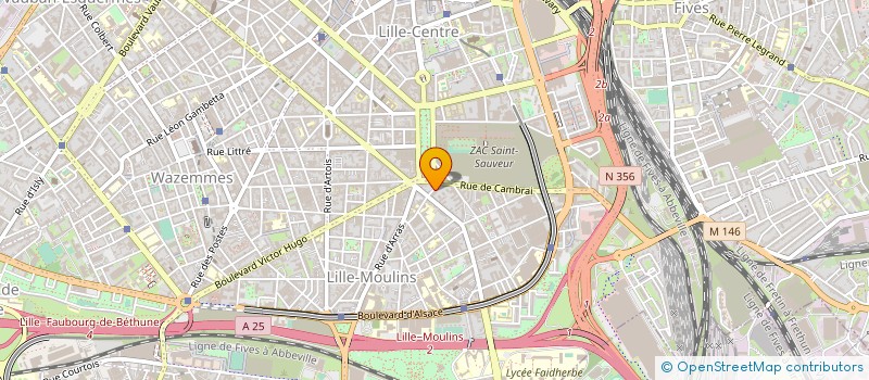 localisation de l'entreprise MADAME ZANI FAYSALA à LILLE