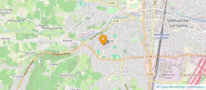 localisation de l'entreprise MADAME ZEGHAIDA PELFINI  VILLEFRANCHE-SUR-SAONE