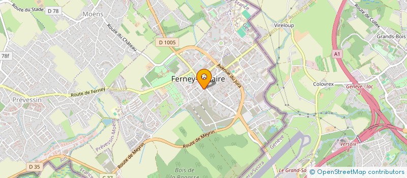 localisation de l'entreprise MADAME ZEINA HARAKE  FERNEY-VOLTAIRE