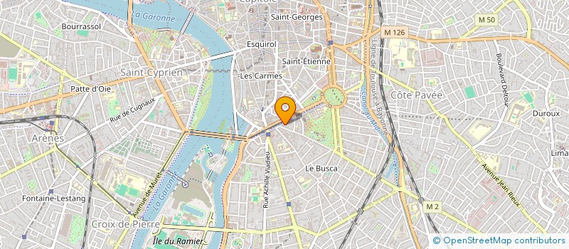 localisation de l'entreprise MADAME ZELIE PASCUAL  TOULOUSE
