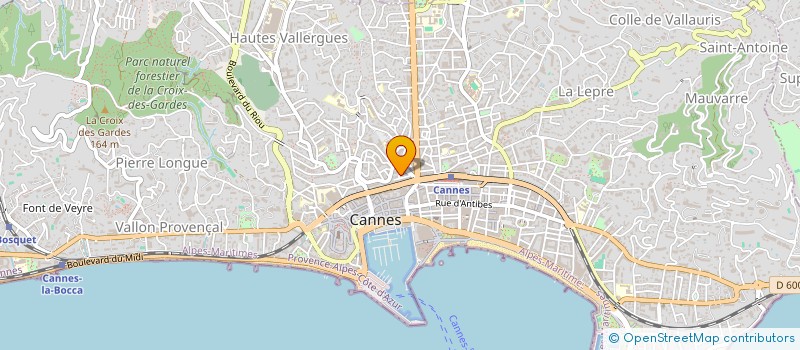 localisation de l'entreprise MADAME ZELITA CONCEICAO DA SOLEDADE à CANNES