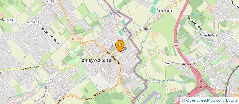 localisation de l'entreprise MADAME ZERTIHUN MEKUANINIT à FERNEY-VOLTAIRE