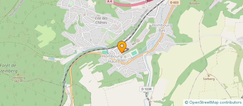 localisation de l'entreprise MADAME ZEYNEP DILEK  HOMBOURG-HAUT