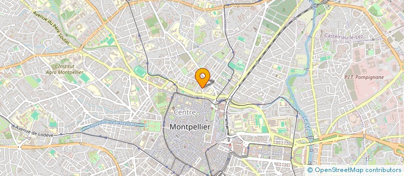 localisation de l'entreprise MADAME ZINA BEDJAOUI  MONTPELLIER