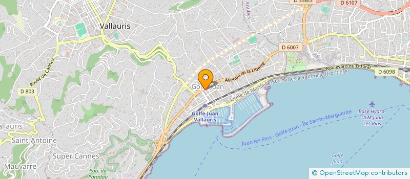 localisation de l'entreprise MADAME ZINAIDA COJUCARI  VALLAURIS