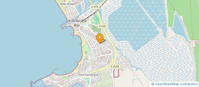 localisation de l'entreprise MADAME ZO RAZAFIMANANTSOA  LE GRAU-DU-ROI