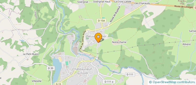 localisation de l'entreprise MADAME ZOE BOURGOIS  NEUVIC-ENTIER