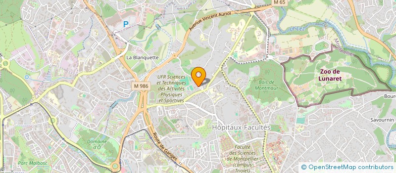 localisation de l'entreprise MADAME ZOE PETIT à MONTPELLIER