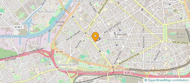 localisation de l'entreprise MADAME ZOHRA CHEROUAL  LILLE