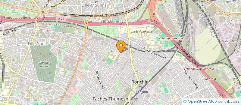 localisation de l'entreprise MADAME ZOLERHA BALI à LILLE