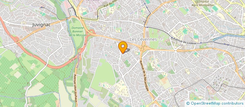 localisation de l'entreprise MADAME ZOUBIDA TICHELIKINE à MONTPELLIER