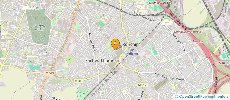 localisation de l'entreprise MADAME ZSOFIA ZOLTAN  FACHES-THUMESNIL