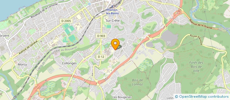 localisation de l'entreprise MADAME ZULBIYE YILDIZ à THONON-LES-BAINS