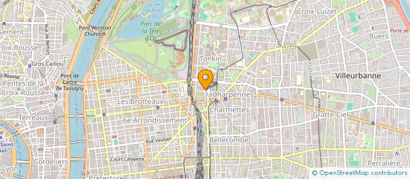 localisation de l'entreprise MADELY SOLUTIONS  LYON