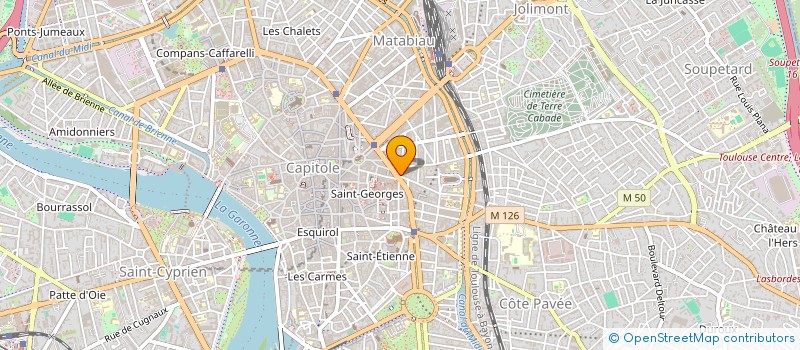 localisation de l'entreprise MADEMOISELLE L à TOULOUSE