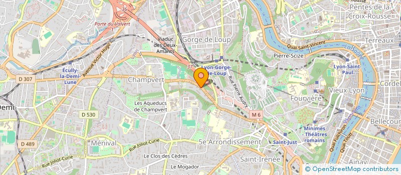 localisation de l'entreprise MADEMOISELLE PAILLETTE à LYON