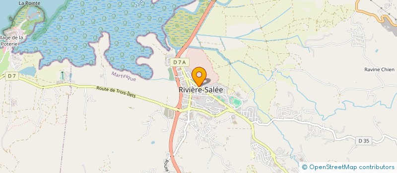 localisation de l'entreprise MADININA CLUB C2  RIVIERE-SALEE