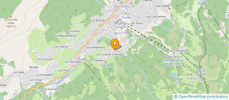 localisation de l'entreprise MADOAN  LES GETS