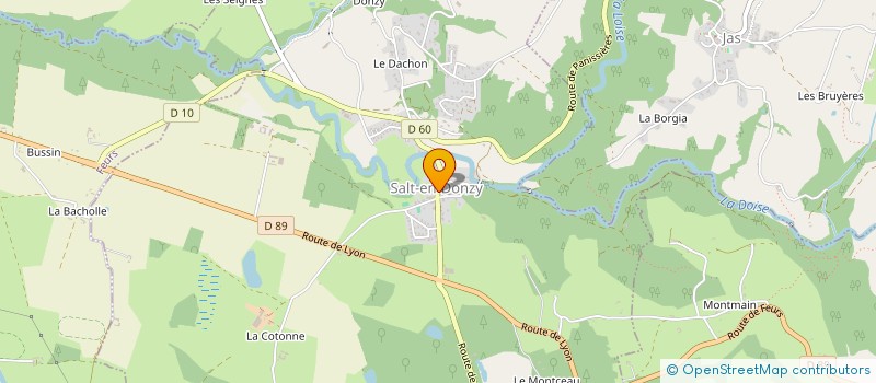 localisation de l'entreprise MADRIEN  SALT-EN-DONZY