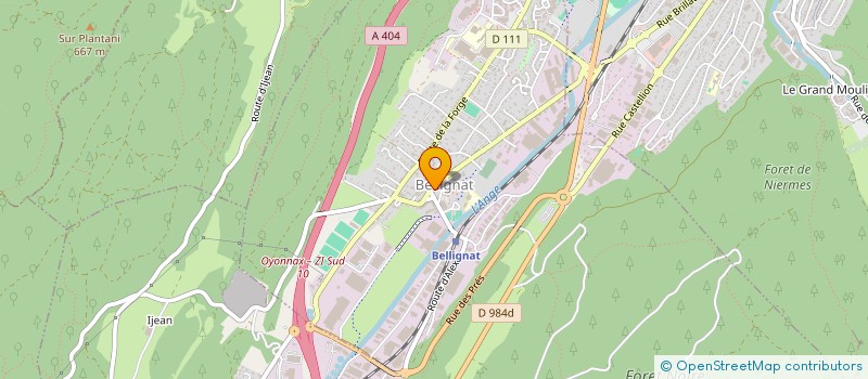 localisation de l'entreprise MAELIO IMMOBILIER  BELLIGNAT