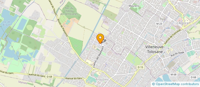 localisation de l'entreprise MAG-ELEC31  FROUZINS