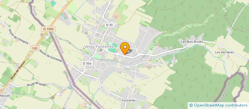 localisation de l'entreprise MAG INVEST  VEIGY-FONCENEX