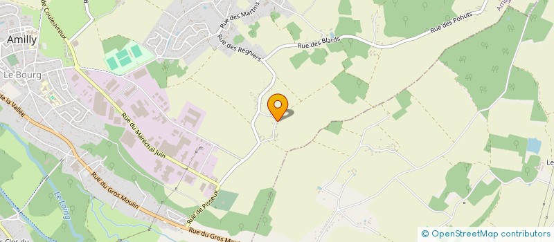 localisation de l'entreprise MAGAU HOLDING  TANNERON