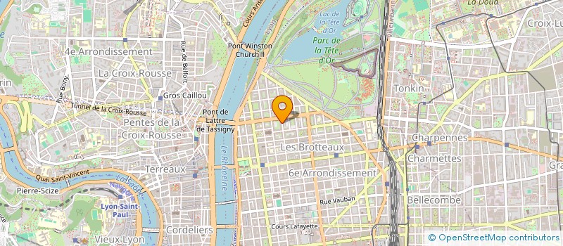 localisation de l'entreprise MAGESTHIX  LYON