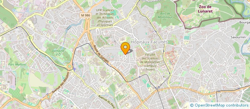 localisation de l'entreprise MAGIC'SOLS à MONTPELLIER