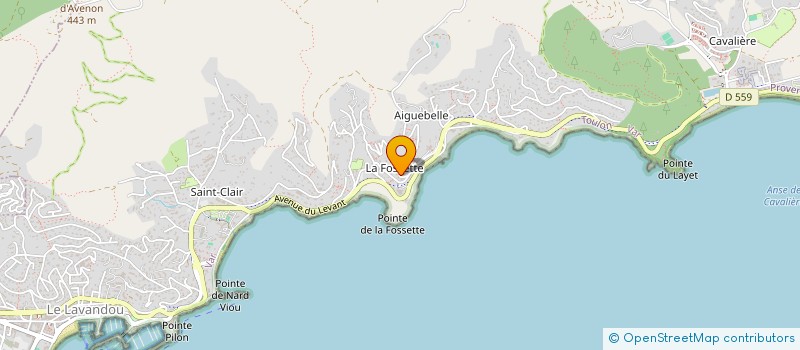 localisation de l'entreprise MAGICIEN DES ILES à LE LAVANDOU