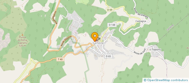 localisation de l'entreprise MAGICORSICA  SARTENE