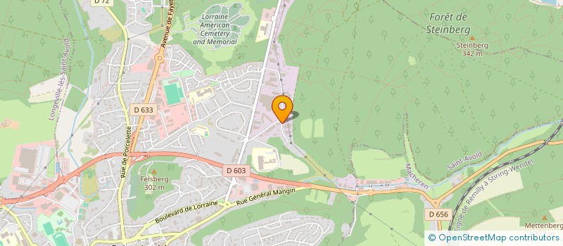 localisation de l'entreprise MAGNUM SECURITE INTERVENTION  SAINT-AVOLD