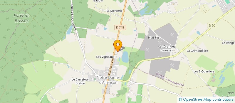 localisation de l'entreprise MAGYG  BELLEVIGNE-EN-LAYON