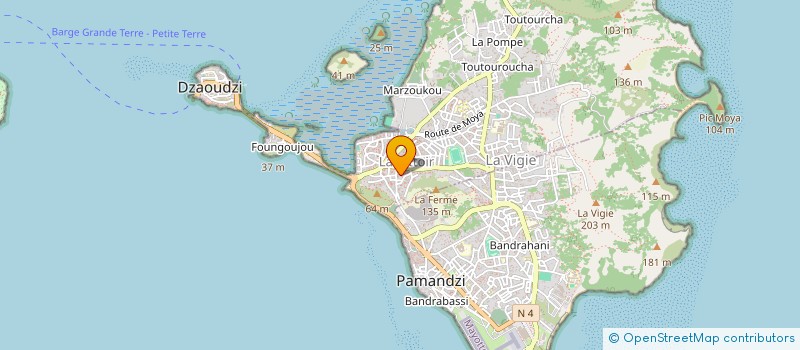 localisation de l'entreprise MAHADALI ET FILS OCEAN INDIEN à DZAOUDZI