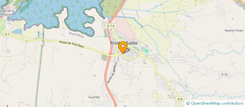 localisation de l'entreprise MAHIGAN'IMMO  RIVIERE-SALEE