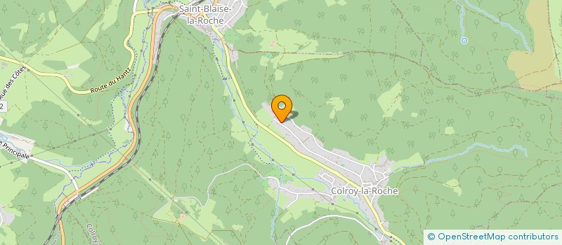 localisation de l'entreprise MAHLER ROGER  COLROY-LA-ROCHE