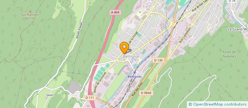 localisation de l'entreprise MAIS DIS MOI TOUT à BELLIGNAT