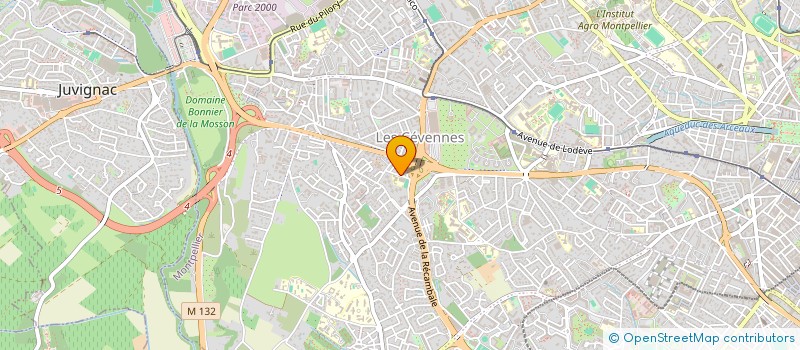 localisation de l'entreprise MAISON ARYEN à MONTPELLIER