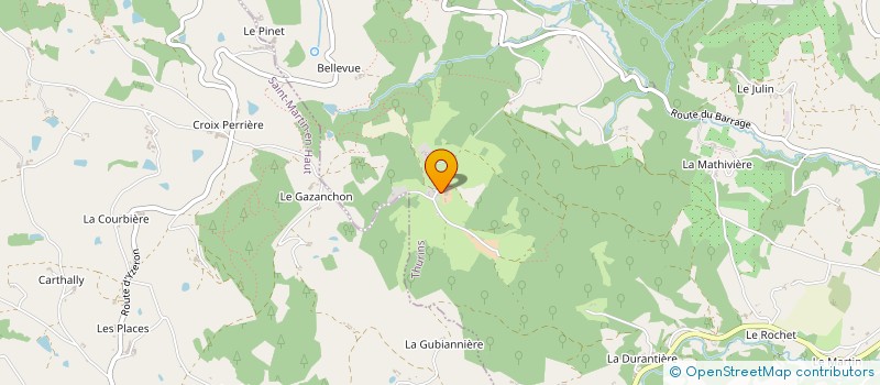 localisation de l'entreprise MAISON BOURNAS  THURINS