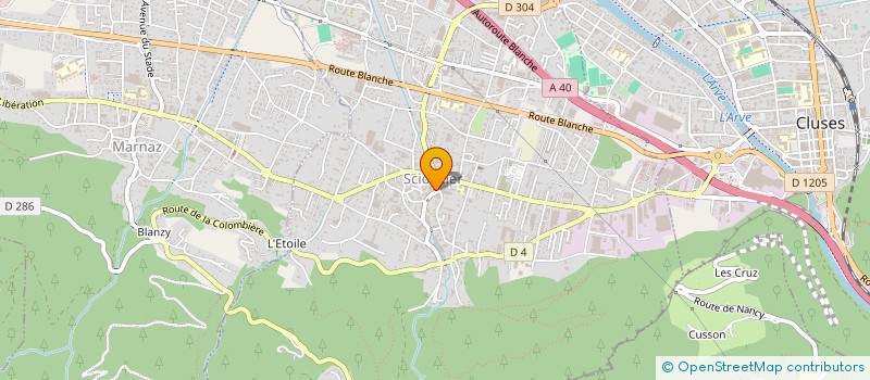 localisation de l'entreprise MAISON C.N.D.I. & CO  SCIONZIER