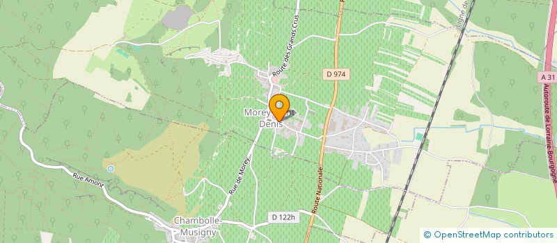 localisation de l'entreprise MAISON CHARLOPIN TISSIER  MOREY-SAINT-DENIS