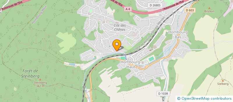 localisation de l'entreprise MAISON D'ASSISTANTES MATERNELLES AUX MILLE ET UN SOUVENIRS  HOMBOURG-HAUT