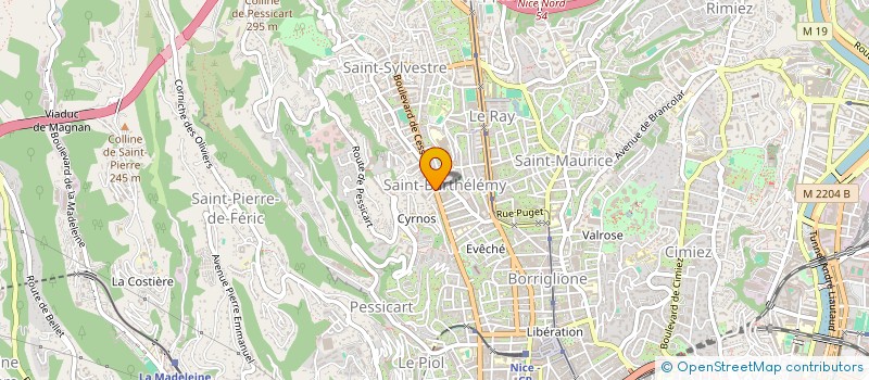 localisation de l'entreprise MAISON DE CESSOLE à NICE