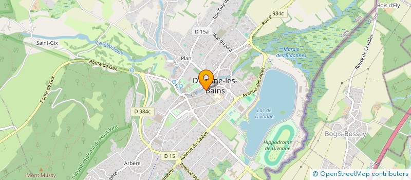 localisation de l'entreprise MAISON DE LA MUSIQUE DE DIVONNE à DIVONNE-LES-BAINS