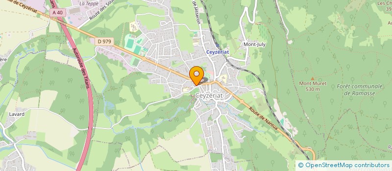 localisation de l'entreprise MAISON DE LA MUSIQUE DE LA VALLIERE à CEYZERIAT