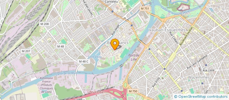 localisation de l'entreprise MAISON DE QUARTIER BOIS BLANCS - BOUTIQUE DE SERVICES à LILLE
